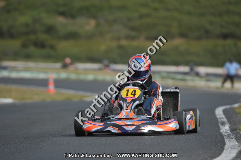 DSC (3590).JPG